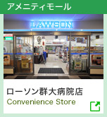 アメニティモール | ローソン群大病院店 Convenience Store